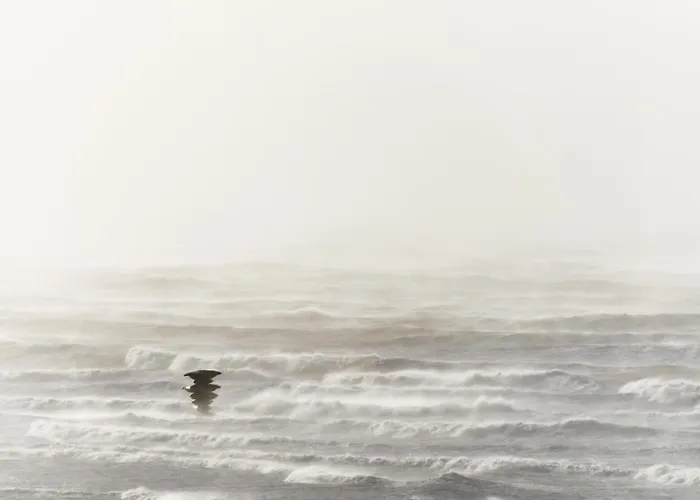 Apartment Knappe Met Subliem Zeezicht!